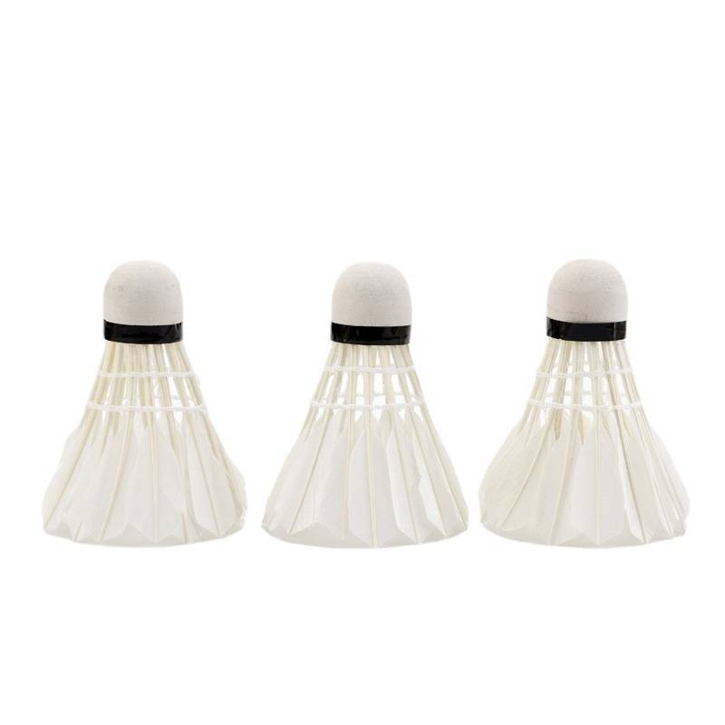 3 badminton (bunk)